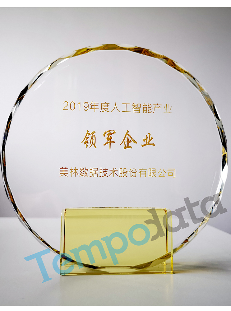 12-人工智能領(lǐng)軍企業(yè)